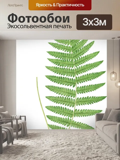 Фотообои Папоротник
