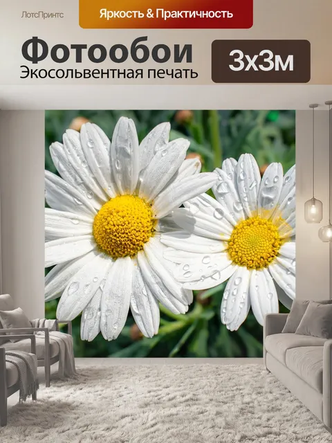 Фотообои Ромашки