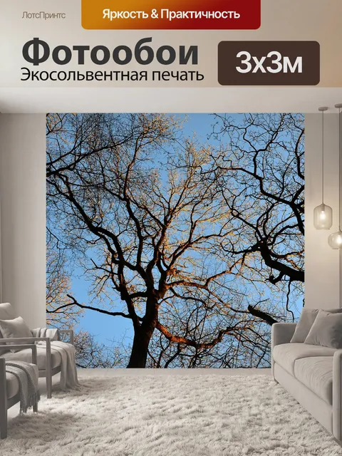 Фотообои Деревья