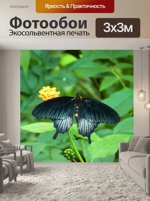Фотообои Бабочка