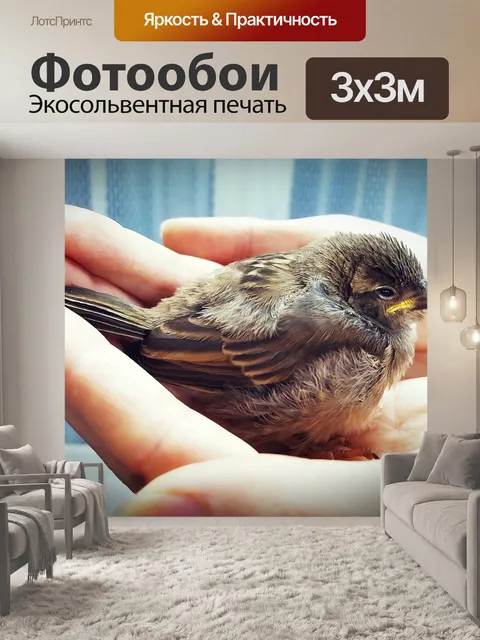 Фотообои Воробушек