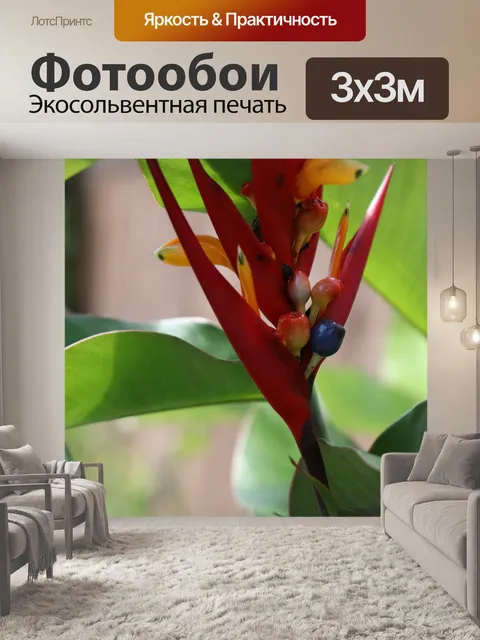 Фотообои Джунгли