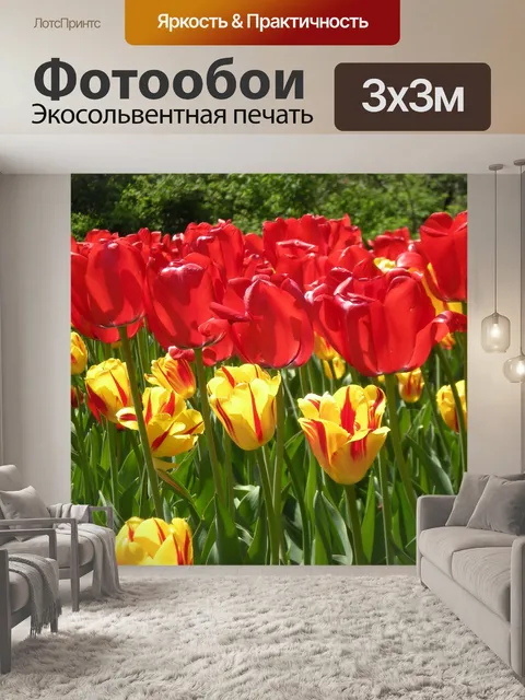 Фотообои Тюльпаны