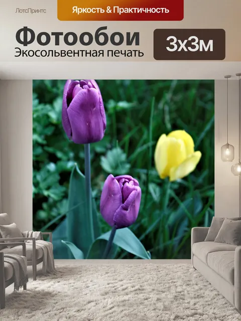 Фотообои Природа