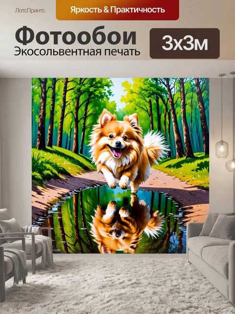 Фотообои динамичные моменты померанского шпица