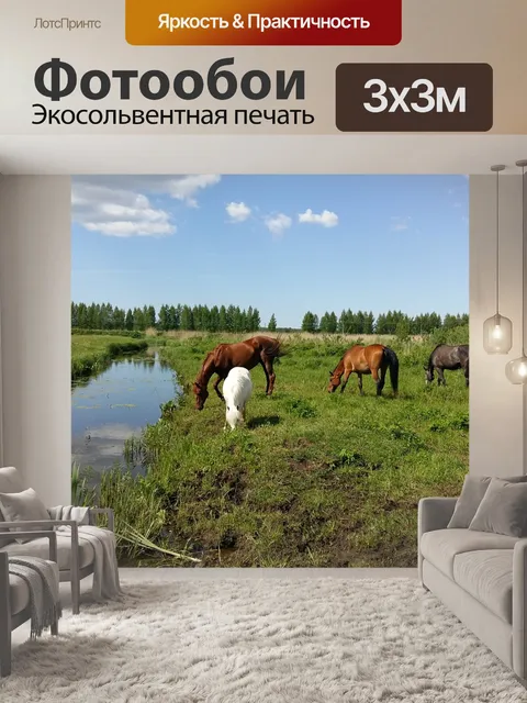 Фотообои Лошадь