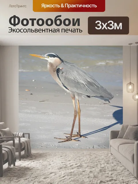 Фотообои Цапля