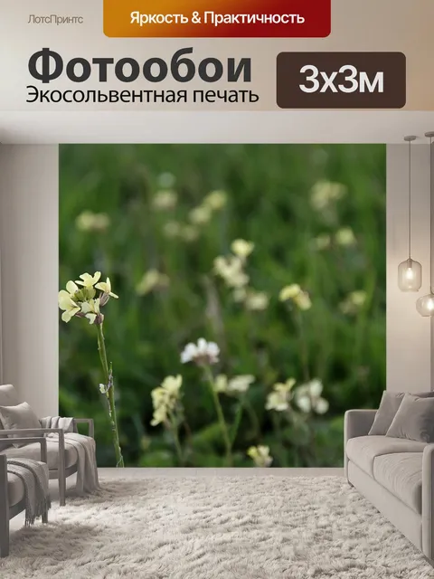 Фотообои Белые горчичные полевые цветы