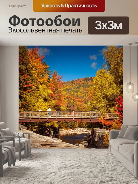 Фотообои Мост в лесу осенью