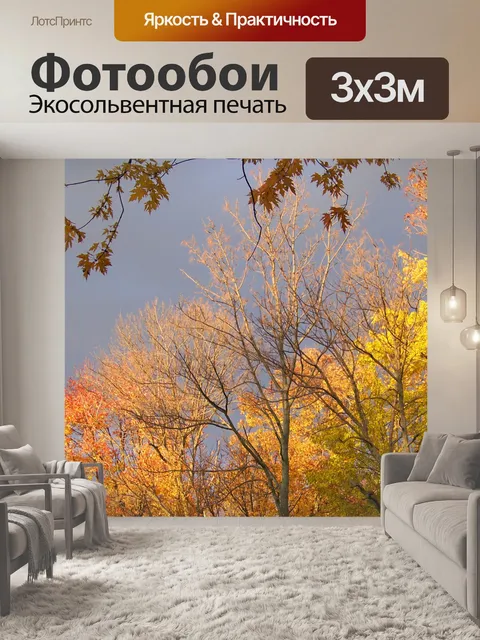 Фотообои Осенние деревья и угрожая Облачность