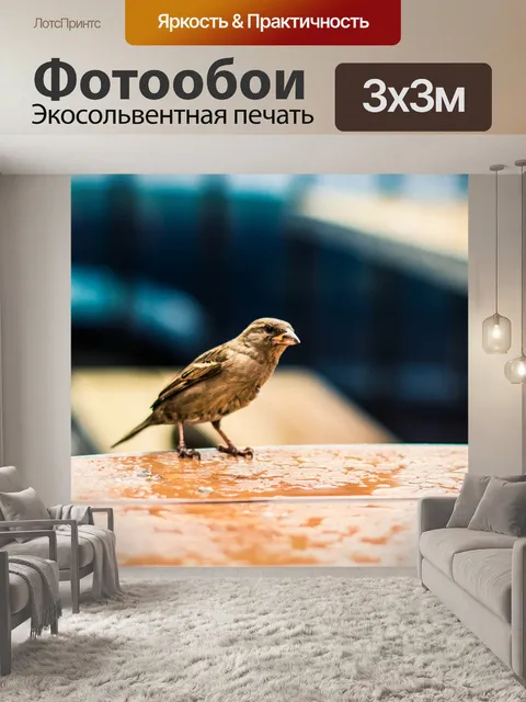 Фотообои Птица