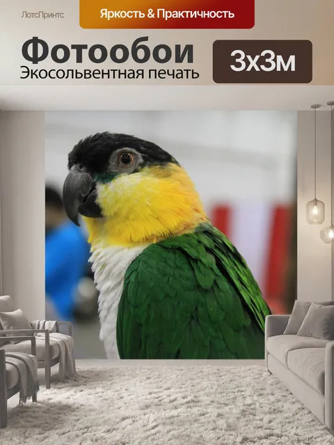 Фотообои Птица