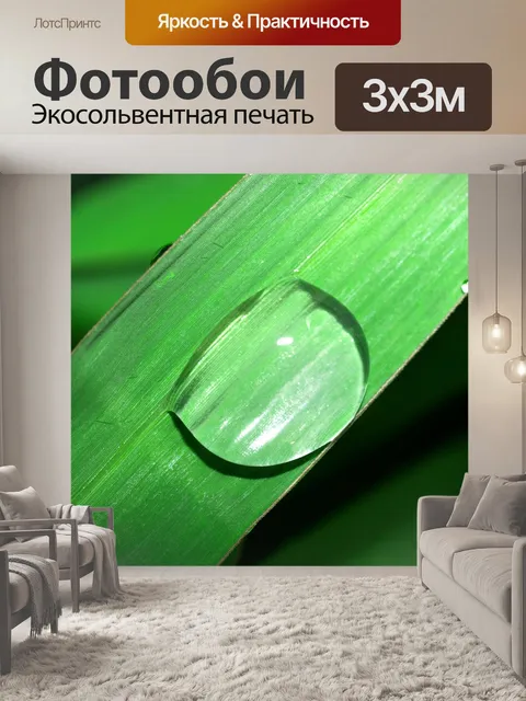 Фотообои Капля воды на листе