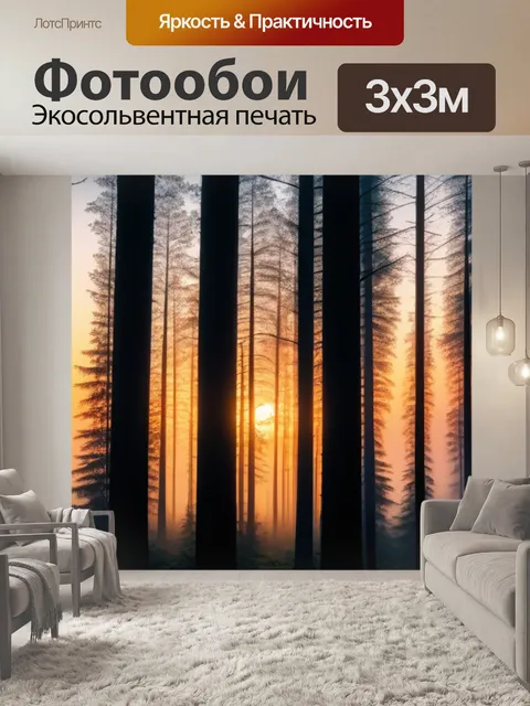 Фотообои туманный лес под закатом