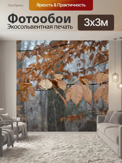Фотообои Листья бука