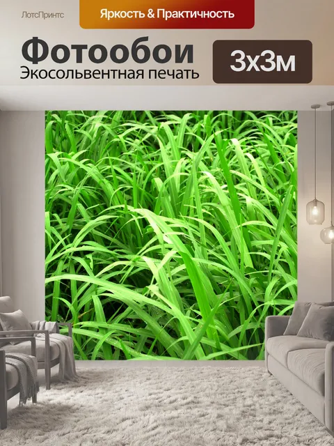Фотообои Капля воды на листе
