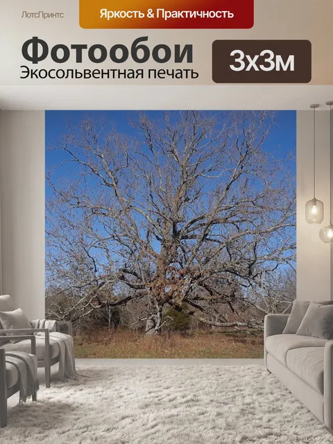 Фотообои Широко раскидистый дуб в поле