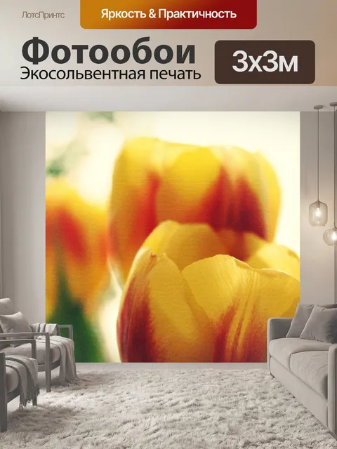 Фотообои Тюльпаны