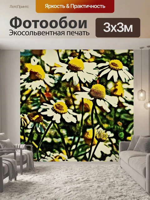 Фотообои ромашка
