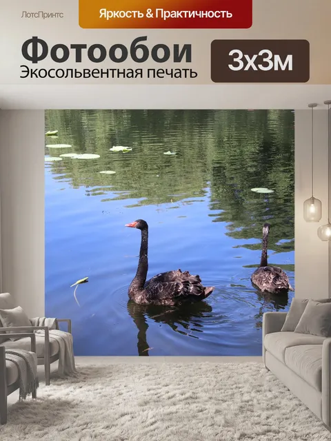 Фотообои Лебеди