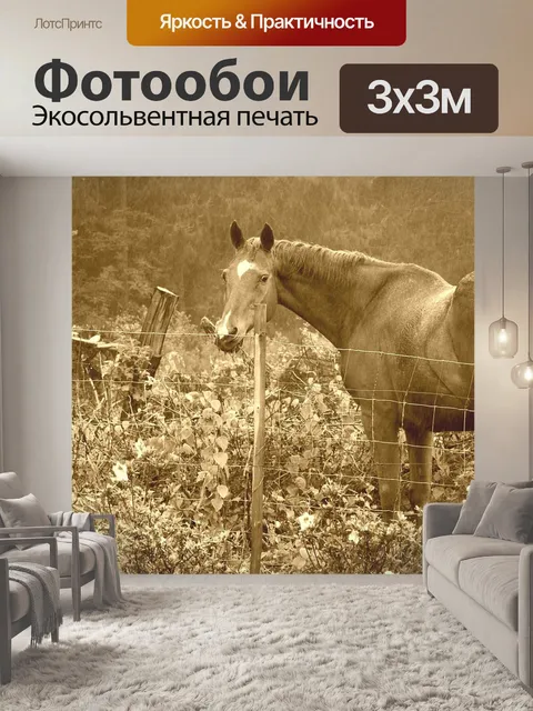 Фотообои Лошадь