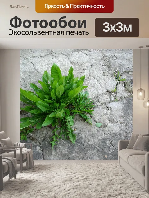 Фотообои Сорняк