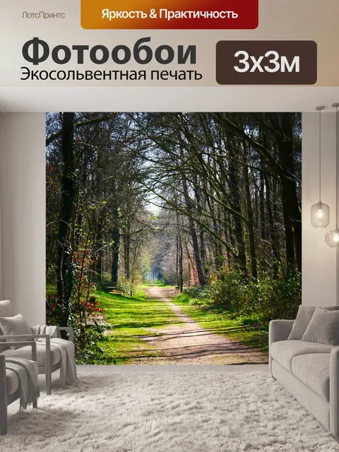 Фотообои Лес