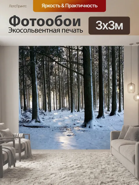 Фотообои Лес