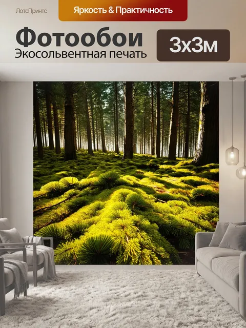 Фотообои в густом сосновом лесу