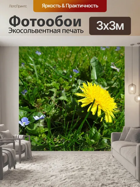 Фотообои Луг