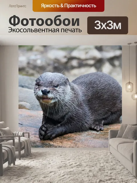 Фотообои Выдра