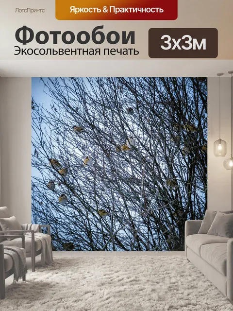 Фотообои Птицы