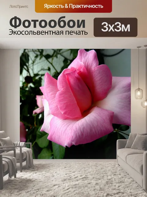 Фотообои Роза
