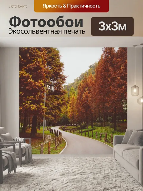 Фотообои Дорога