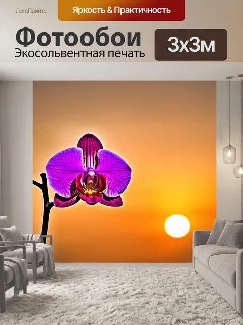 Фотообои орхидея на фоне огненных закатов и теплых оттенков неба