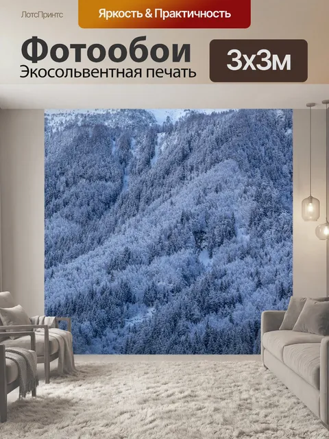 Фотообои Лес зимой