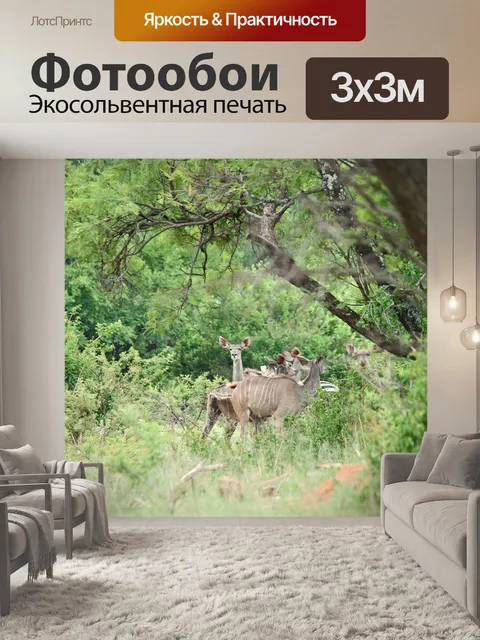 Фотообои Куду коровы в кустах