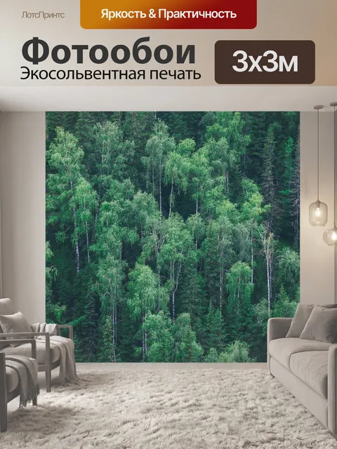 Фотообои Лес