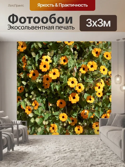 Фотообои Цветы