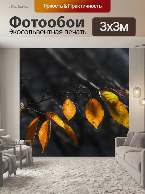 Фотообои Осенние листья