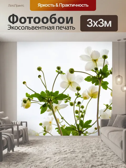 Фотообои Цветы