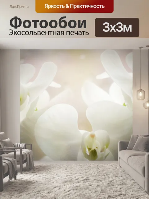 Фотообои Орхидеи