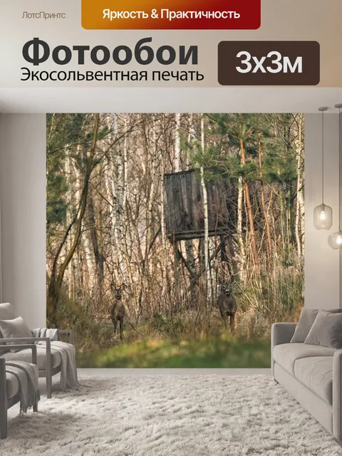 Фотообои Лес