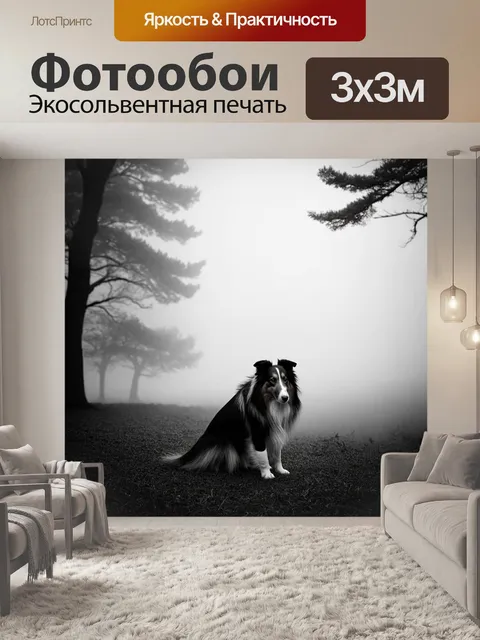 Фотообои колли, наблюдающий за пейзажем в тумане, с деревьями на фоне, создавая ощущение загадочности