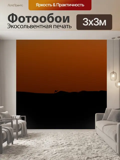 Фотообои Животное