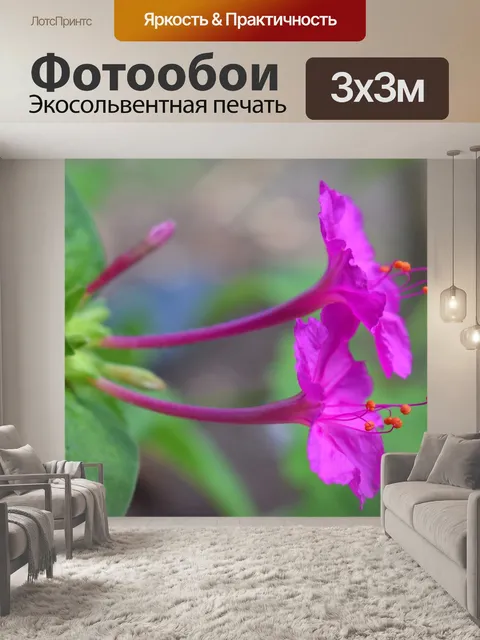 Фотообои Цветы