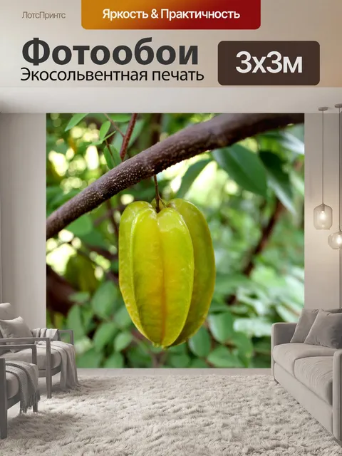 Фотообои Карамбола Звездные фрукты Бесплатное изо