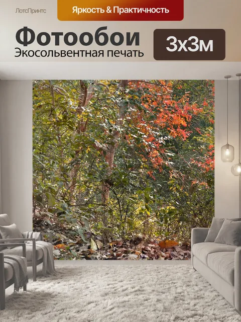 Фотообои Деревья и листья 4