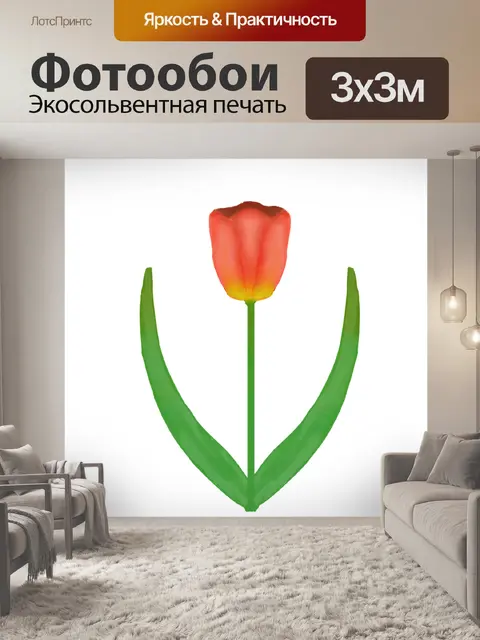 Фотообои Тюльпан