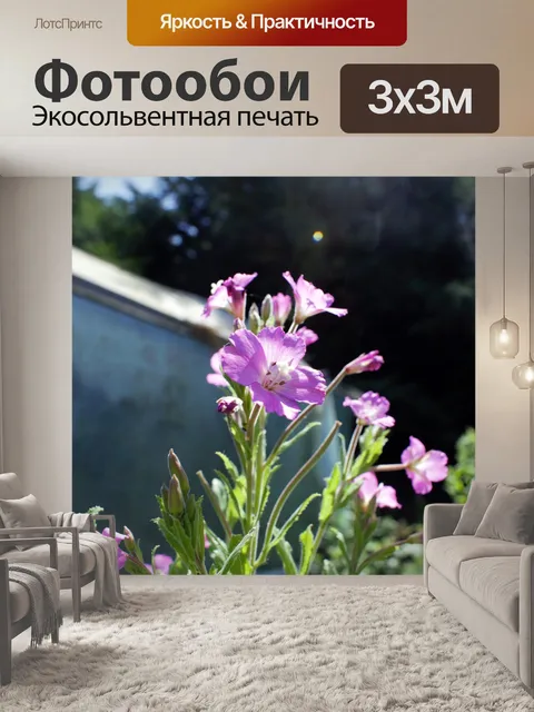 Фотообои Цветы